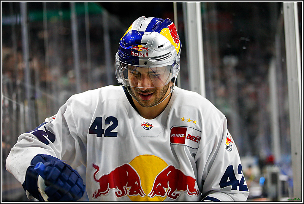 PENNY DEL; Koelner Haie- Red BUll Muenchen; Koeln, 08.11.2022